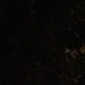 Meet your Posher, Toby